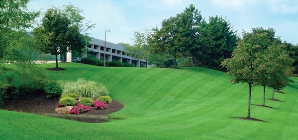 Commercial-Landscape-Pic-1